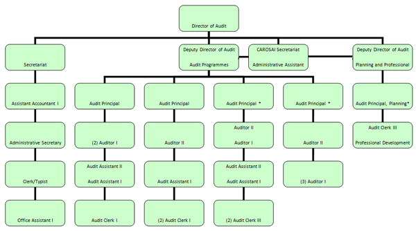 Audit Organisational Chart